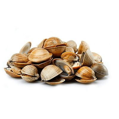 Clams