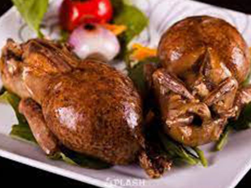 Stuffed Pigeon