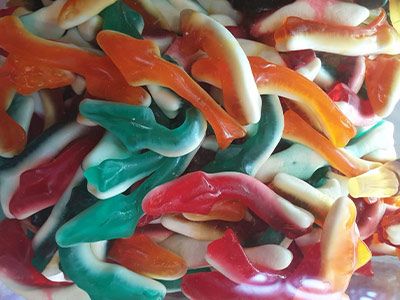 Crocodile Jelly