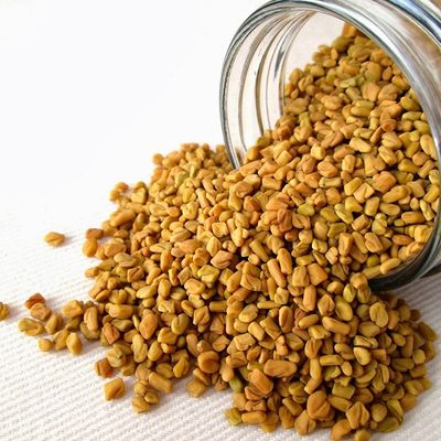 سلطة حلبة عادية