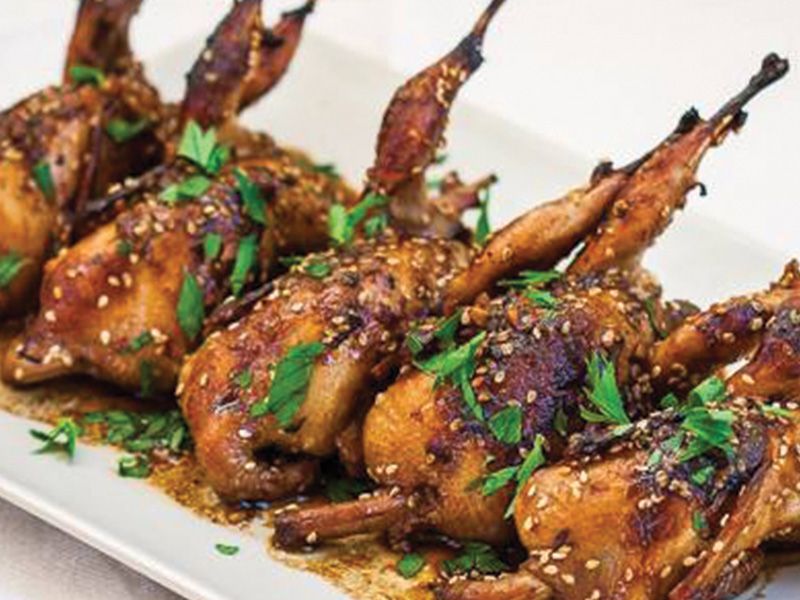 Stuffed Pigeon