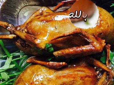 Stuffed Pigeon