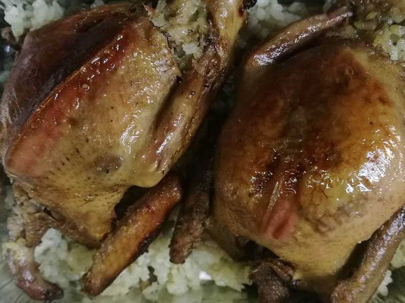 Stuffed Pigeon