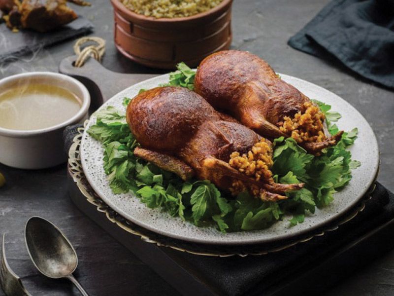 Single Stuffed Pigeon