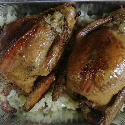 Stuffed Pigeon