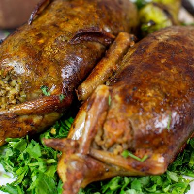 rice Pigeon