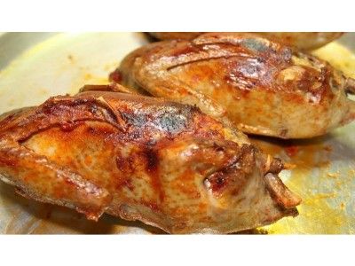 Stuffed Pigeon