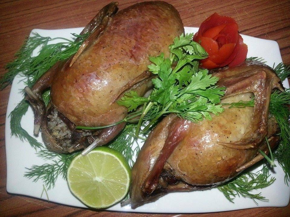 Stuffed Pigeon