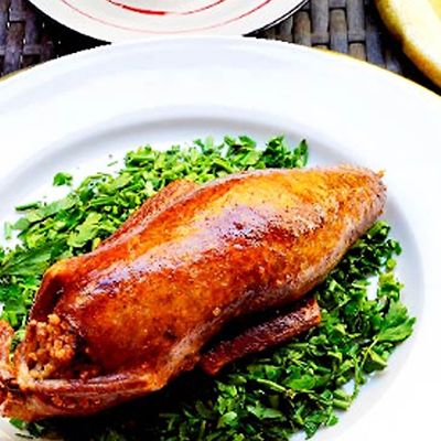 Single Stuffed Pigeon