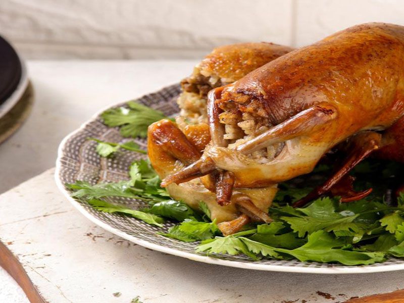 Stuffed Pigeon