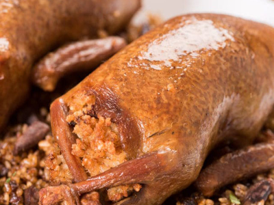 Pigeon