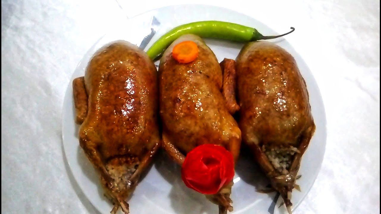 Pigeon