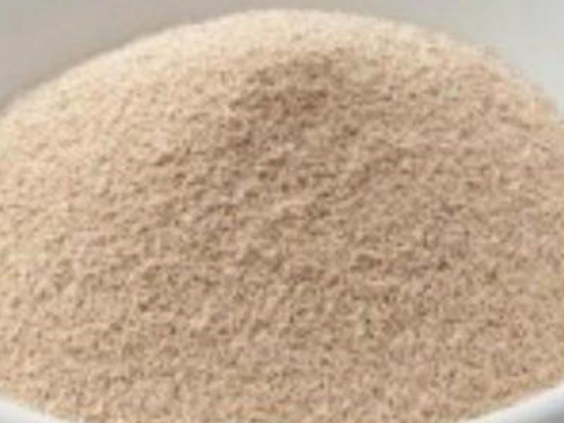 Yeast Packet