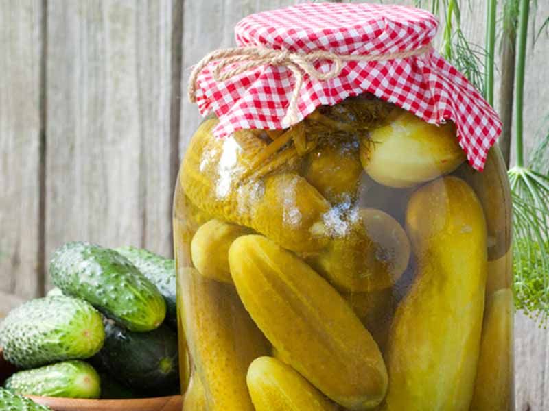 Pickled Cucumbers