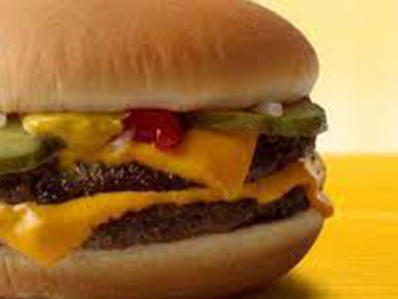 Double Cheese Burger Sandwich