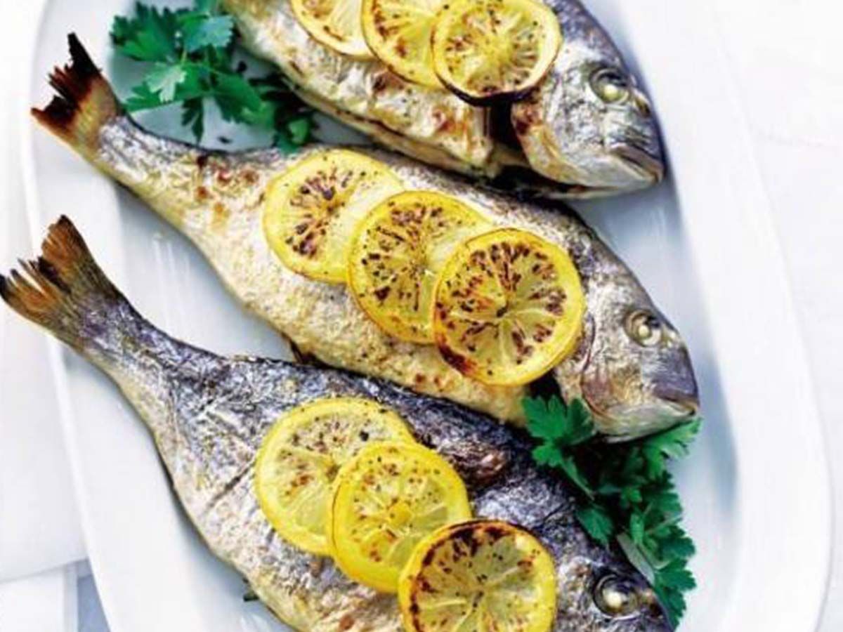 Gilthead Bream fish