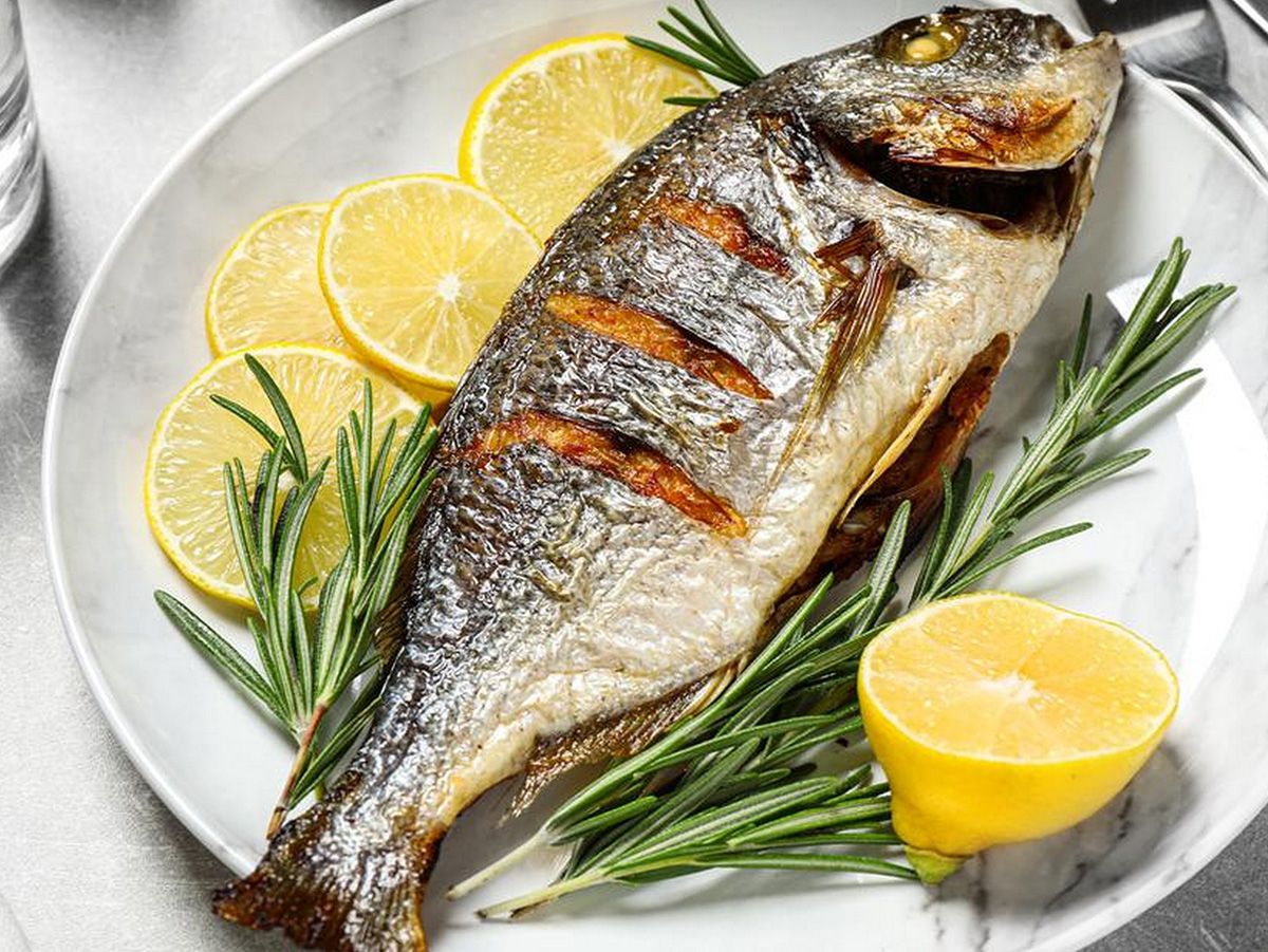 Gilthead Bream Fish