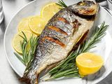 Gilthead Bream Fish