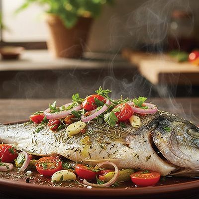 Gilthead Bream
