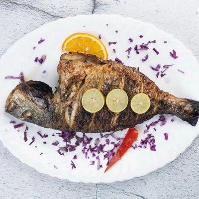 Gilthead Bream Fish