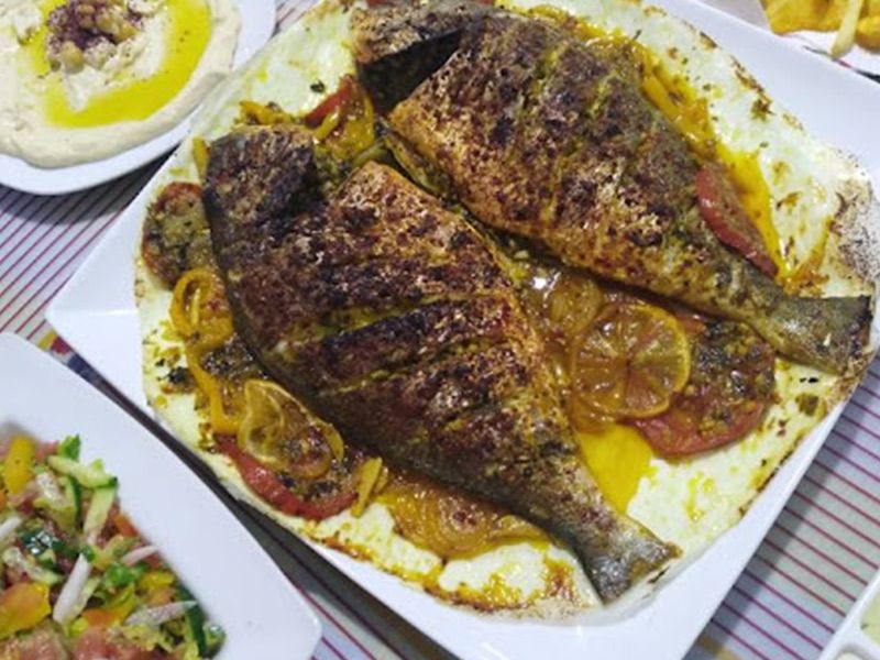 Gilthead Bream Fish