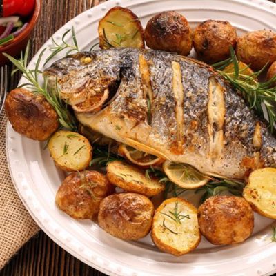 Gilthead Bream Fish