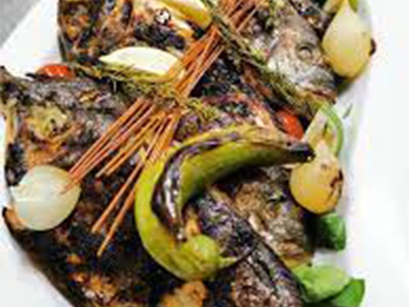 Gilthead Bream Fish