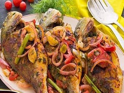 Gilthead Bream Fish
