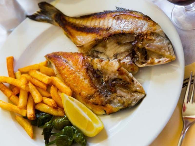 Gilthead Bream Fish