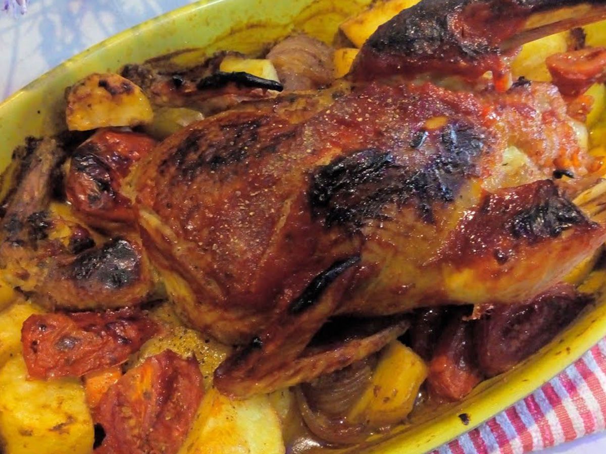 baladi rooster