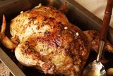 Turkey Cooking