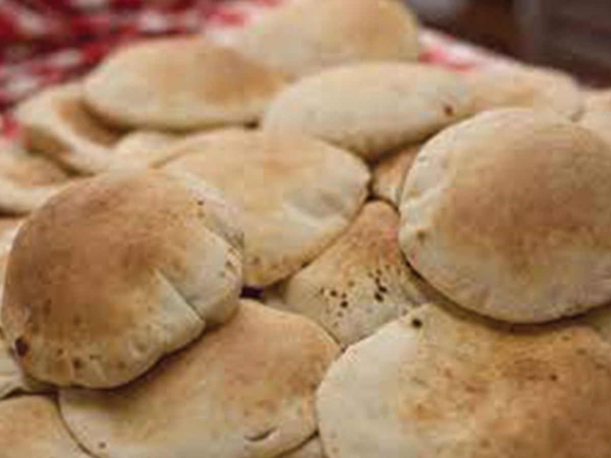 Shami Bread Bundle