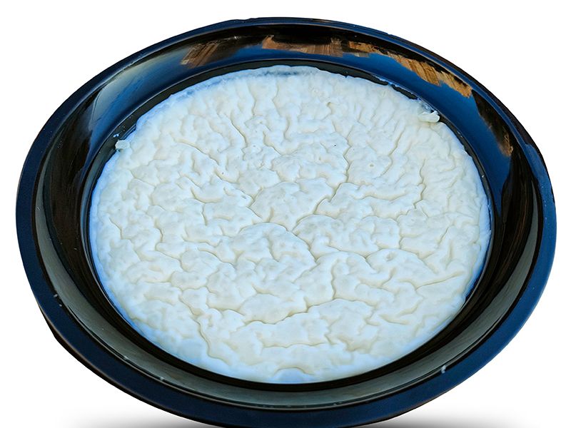 Plain Rice Pudding