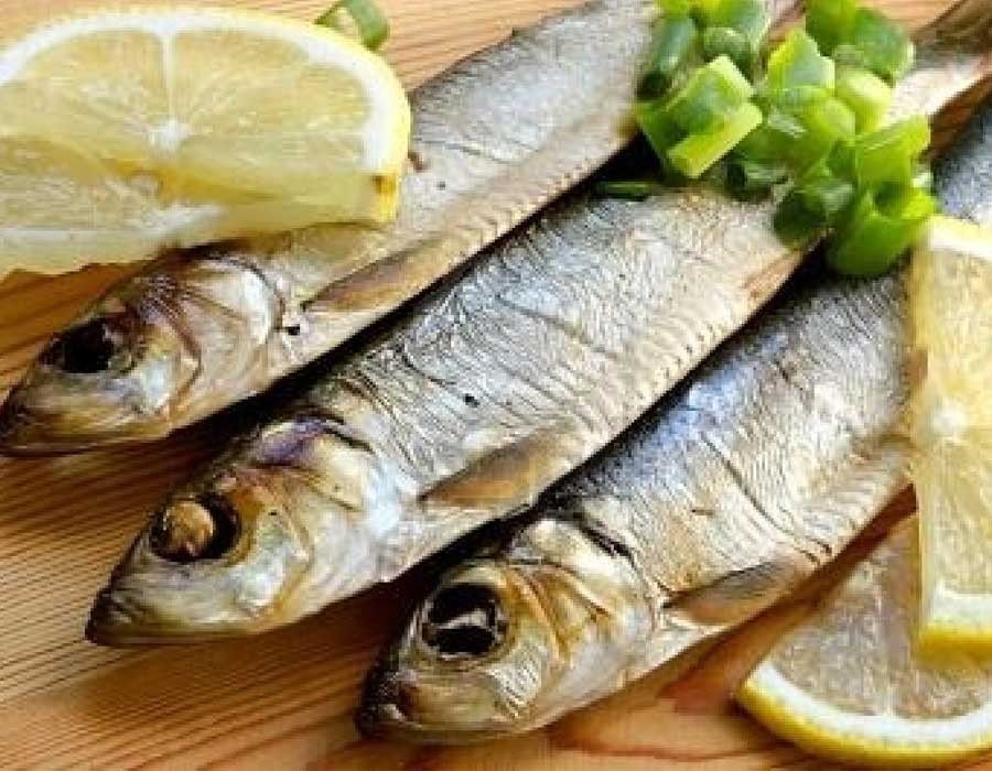 Greek Herring Fillet
