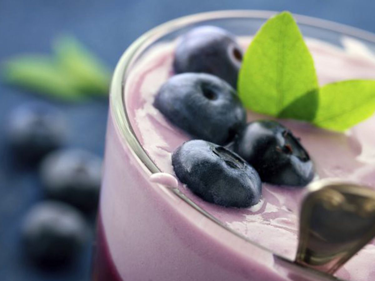 Blueberry Yogurt