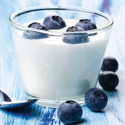 Blueberry Yogurt