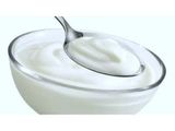 Plain Yogurt