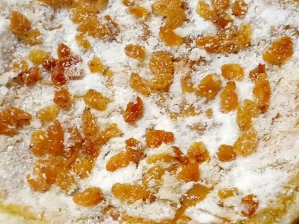 Raisin Coconut Pie