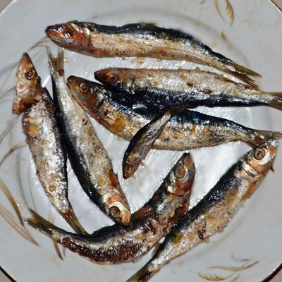 Local And Omani Sardines