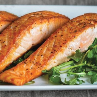 Salmon Fish