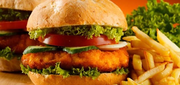 Plain Burger Sandwich