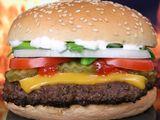 Meat burger with cheddar