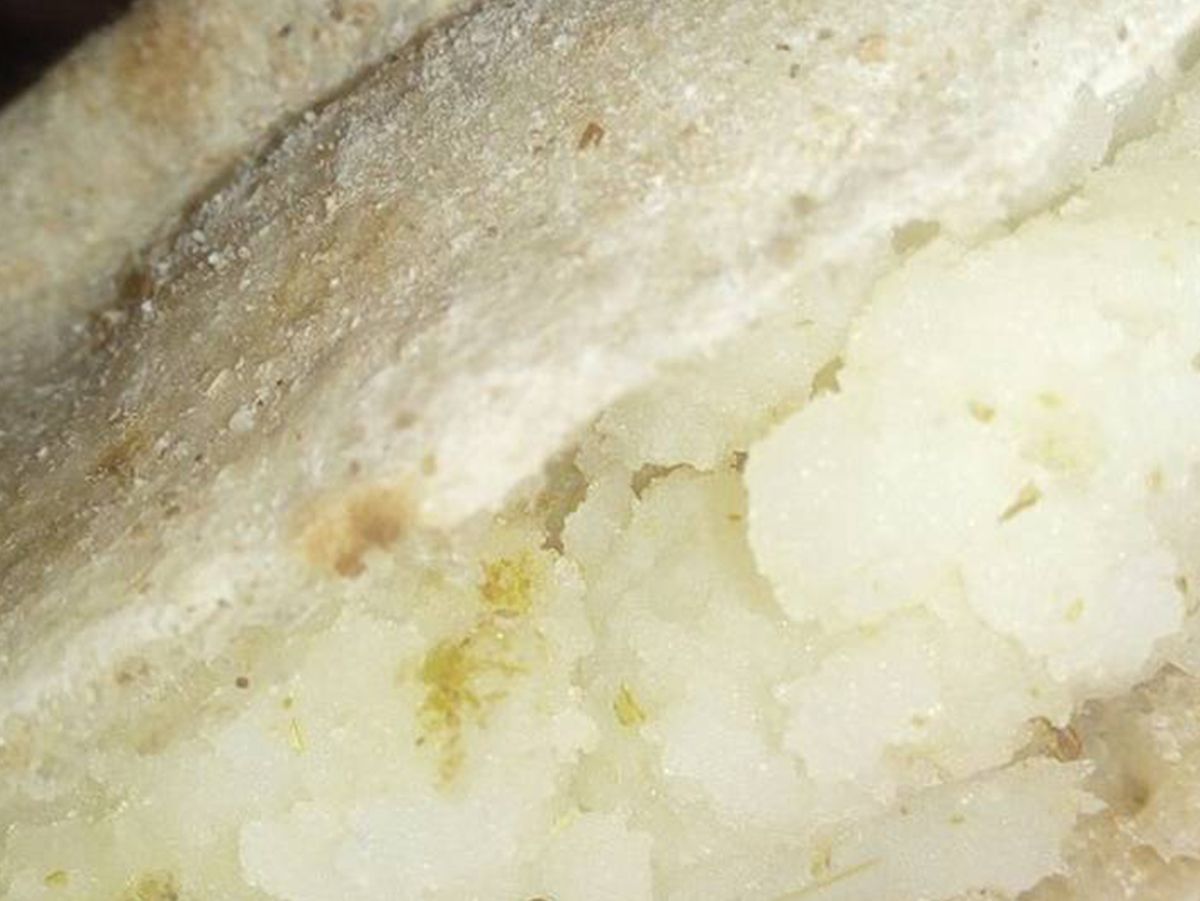 Potato Puree Sandwich