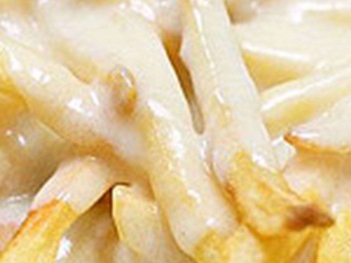 Baladi Fries With Cheddar Sandwich
