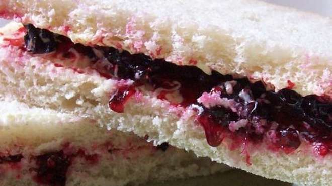 Plain Jam Sandwich
