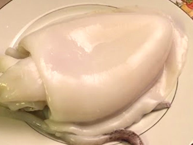 Squid