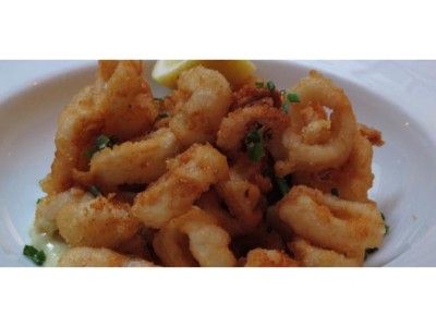 Squid