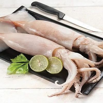 حبار طازج محلي نيء