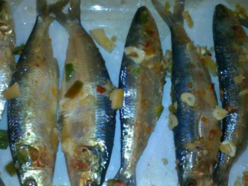 Baladi Sardines