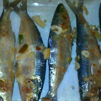 Baladi Sardines